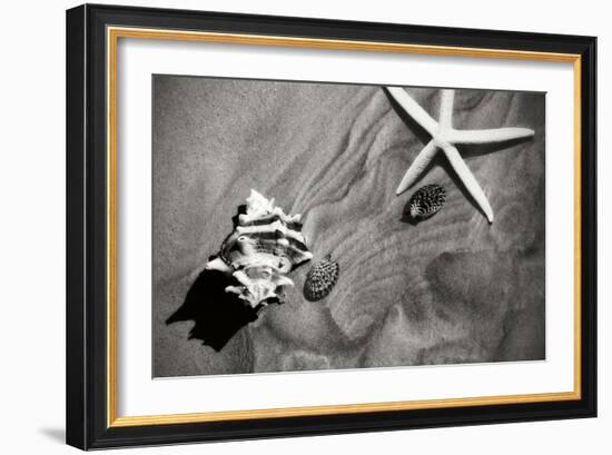 Tracks of the Tide III-Alan Hausenflock-Framed Photographic Print