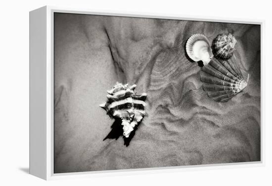 Tracks of the Tide IV-Alan Hausenflock-Framed Premier Image Canvas