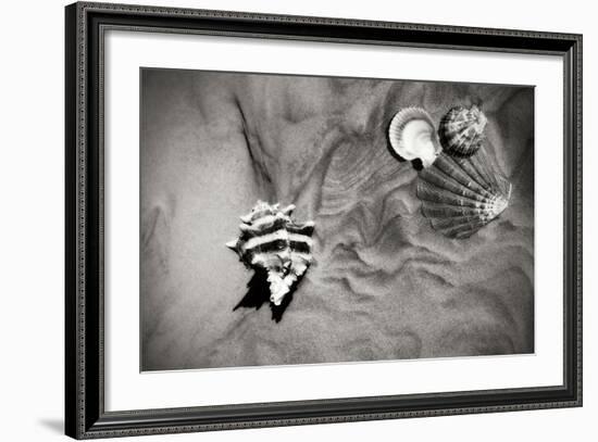 Tracks of the Tide IV-Alan Hausenflock-Framed Photographic Print