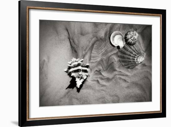 Tracks of the Tide IV-Alan Hausenflock-Framed Photographic Print