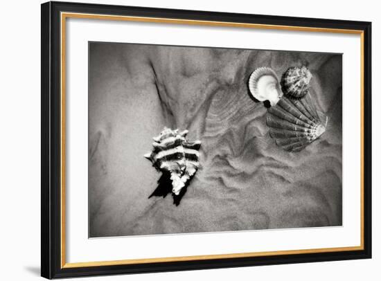 Tracks of the Tide IV-Alan Hausenflock-Framed Photographic Print