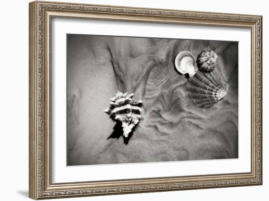 Tracks of the Tide IV-Alan Hausenflock-Framed Photographic Print