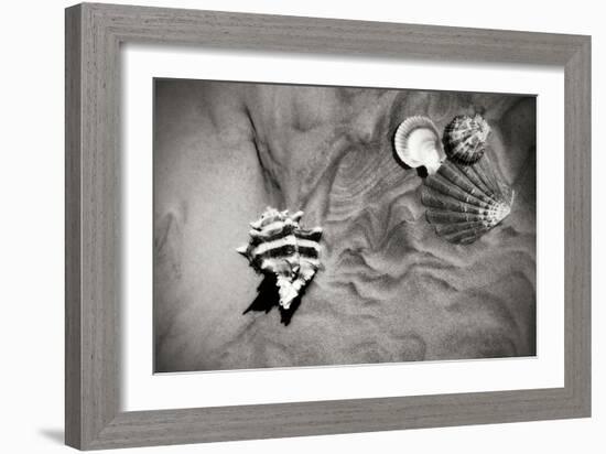 Tracks of the Tide IV-Alan Hausenflock-Framed Photographic Print