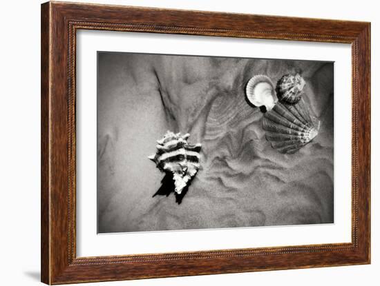 Tracks of the Tide IV-Alan Hausenflock-Framed Photographic Print