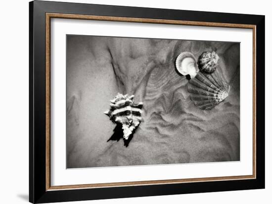 Tracks of the Tide IV-Alan Hausenflock-Framed Photographic Print