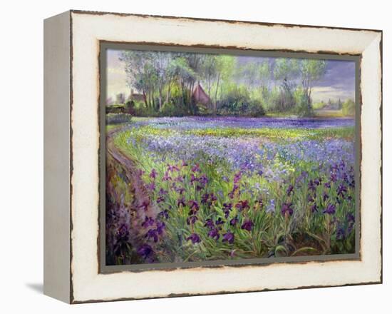 Trackway Past the Iris Field, 1991-Timothy Easton-Framed Premier Image Canvas