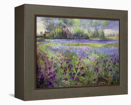 Trackway Past the Iris Field, 1991-Timothy Easton-Framed Premier Image Canvas