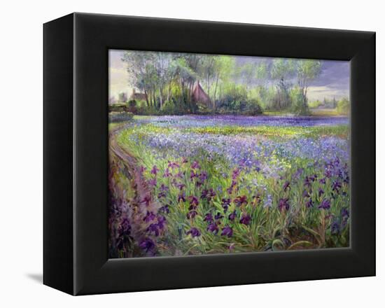 Trackway Past the Iris Field, 1991-Timothy Easton-Framed Premier Image Canvas