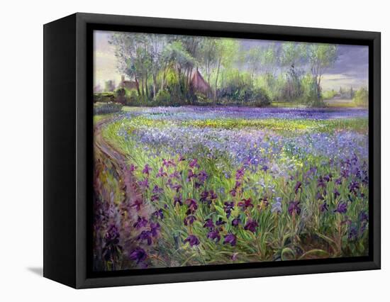 Trackway Past the Iris Field, 1991-Timothy Easton-Framed Premier Image Canvas