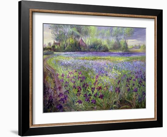 Trackway Past the Iris Field, 1991-Timothy Easton-Framed Giclee Print