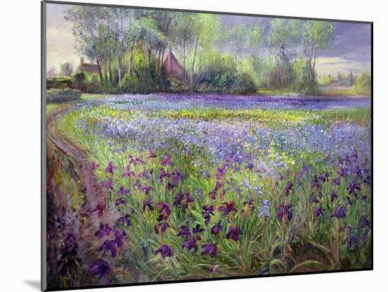 Trackway Past the Iris Field, 1991-Timothy Easton-Mounted Giclee Print