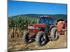 Tractor and Corn Field in Litchfield Hills, Connecticut, USA-Jerry & Marcy Monkman-Mounted Photographic Print