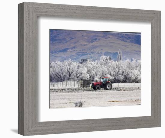 Tractor and Hoar Frost, Sutton, Otago, South Island, New Zealand-David Wall-Framed Photographic Print