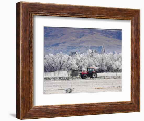 Tractor and Hoar Frost, Sutton, Otago, South Island, New Zealand-David Wall-Framed Photographic Print