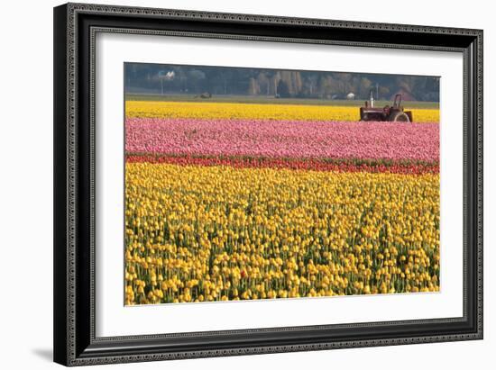 Tractor and Tulips I-Dana Styber-Framed Photographic Print