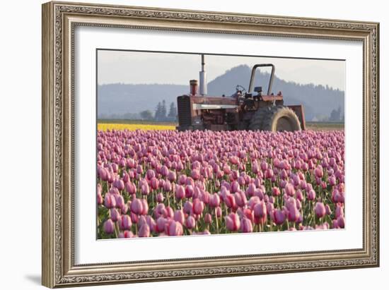 Tractor and Tulips II-Dana Styber-Framed Photographic Print