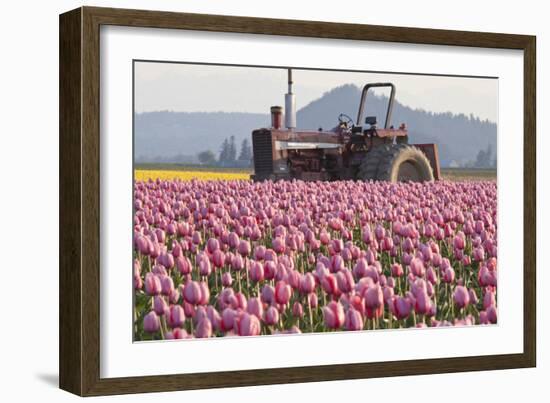 Tractor and Tulips II-Dana Styber-Framed Photographic Print