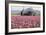 Tractor and Tulips II-Dana Styber-Framed Photographic Print