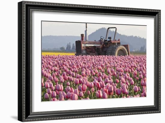 Tractor and Tulips II-Dana Styber-Framed Photographic Print