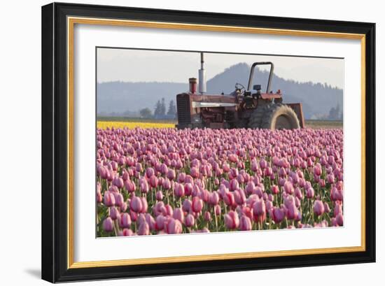 Tractor and Tulips II-Dana Styber-Framed Photographic Print