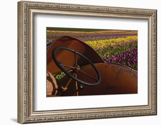 Tractor at the Tulip Festival, Woodburn, Oregon, USA-Michel Hersen-Framed Photographic Print