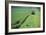 Tractor Cutting Grass for Silage-Jeremy Walker-Framed Photographic Print