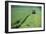 Tractor Cutting Grass for Silage-Jeremy Walker-Framed Photographic Print