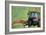 Tractor Cutting Grass for Silage-Jeremy Walker-Framed Photographic Print