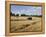 Tractor Harvesting Near Chipping Campden, Along the Cotswolds Way Footpath, the Cotswolds, England-David Hughes-Framed Premier Image Canvas