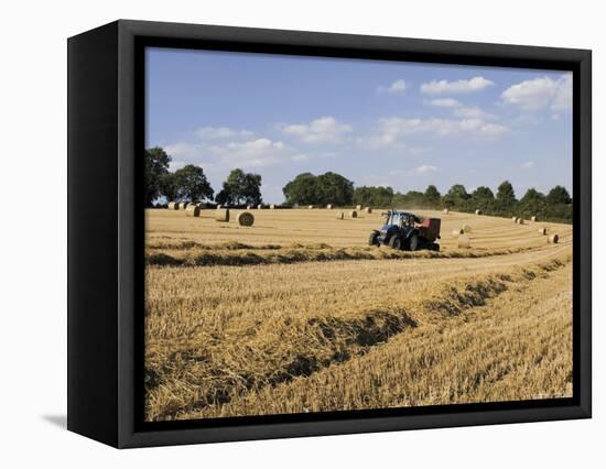 Tractor Harvesting Near Chipping Campden, Along the Cotswolds Way Footpath, the Cotswolds, England-David Hughes-Framed Premier Image Canvas