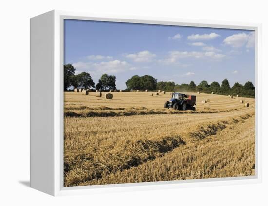 Tractor Harvesting Near Chipping Campden, Along the Cotswolds Way Footpath, the Cotswolds, England-David Hughes-Framed Premier Image Canvas