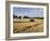 Tractor Harvesting Near Chipping Campden, Along the Cotswolds Way Footpath, the Cotswolds, England-David Hughes-Framed Photographic Print