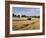 Tractor Harvesting Near Chipping Campden, Along the Cotswolds Way Footpath, the Cotswolds, England-David Hughes-Framed Photographic Print