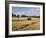 Tractor Harvesting Near Chipping Campden, Along the Cotswolds Way Footpath, the Cotswolds, England-David Hughes-Framed Photographic Print