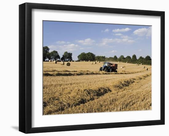 Tractor Harvesting Near Chipping Campden, Along the Cotswolds Way Footpath, the Cotswolds, England-David Hughes-Framed Photographic Print