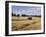 Tractor Harvesting Near Chipping Campden, Along the Cotswolds Way Footpath, the Cotswolds, England-David Hughes-Framed Photographic Print