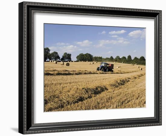 Tractor Harvesting Near Chipping Campden, Along the Cotswolds Way Footpath, the Cotswolds, England-David Hughes-Framed Photographic Print