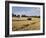 Tractor Harvesting Near Chipping Campden, Along the Cotswolds Way Footpath, the Cotswolds, England-David Hughes-Framed Photographic Print