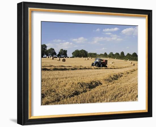 Tractor Harvesting Near Chipping Campden, Along the Cotswolds Way Footpath, the Cotswolds, England-David Hughes-Framed Photographic Print