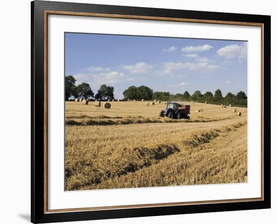 Tractor Harvesting Near Chipping Campden, Along the Cotswolds Way Footpath, the Cotswolds, England-David Hughes-Framed Photographic Print