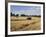 Tractor Harvesting Near Chipping Campden, Along the Cotswolds Way Footpath, the Cotswolds, England-David Hughes-Framed Photographic Print