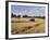 Tractor Harvesting Near Chipping Campden, Along the Cotswolds Way Footpath, the Cotswolds, England-David Hughes-Framed Photographic Print