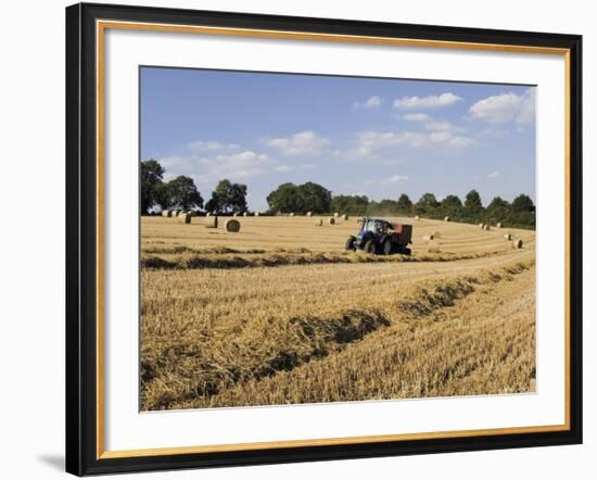 Tractor Harvesting Near Chipping Campden, Along the Cotswolds Way Footpath, the Cotswolds, England-David Hughes-Framed Photographic Print