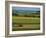 Tractor in Field at Harvest Time, East of Faborg, Funen Island, Denmark, Scandinavia, Europe-Woolfitt Adam-Framed Photographic Print