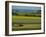 Tractor in Field at Harvest Time, East of Faborg, Funen Island, Denmark, Scandinavia, Europe-Woolfitt Adam-Framed Photographic Print