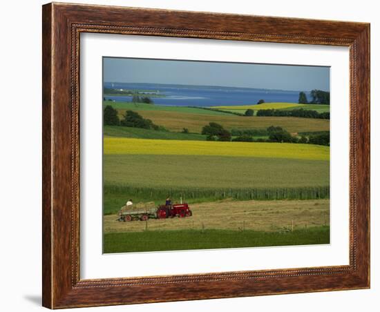 Tractor in Field at Harvest Time, East of Faborg, Funen Island, Denmark, Scandinavia, Europe-Woolfitt Adam-Framed Photographic Print