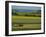 Tractor in Field at Harvest Time, East of Faborg, Funen Island, Denmark, Scandinavia, Europe-Woolfitt Adam-Framed Photographic Print