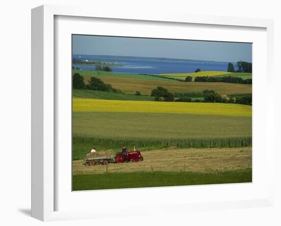 Tractor in Field at Harvest Time, East of Faborg, Funen Island, Denmark, Scandinavia, Europe-Woolfitt Adam-Framed Photographic Print