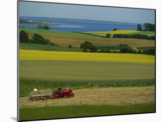 Tractor in Field at Harvest Time, East of Faborg, Funen Island, Denmark, Scandinavia, Europe-Woolfitt Adam-Mounted Photographic Print