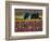 Tractor in the Tulip Field, Tulip Festival, Woodburn, Oregon, USA-Michel Hersen-Framed Photographic Print